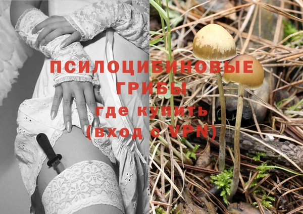 МДПВ Наволоки
