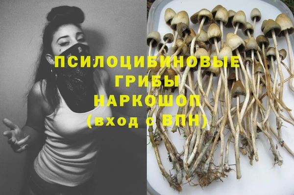 хмурый Билибино