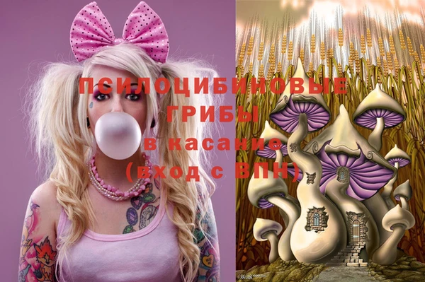дурь Нея