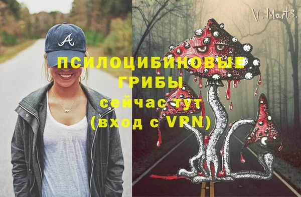 мдпв Надым