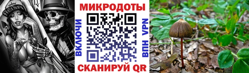 Купить закладки  Заринск  Псилоцибиновые грибы мицелий 